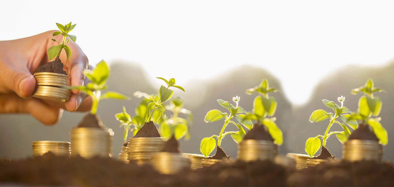 The top 7 benefits of investing in a plot of land